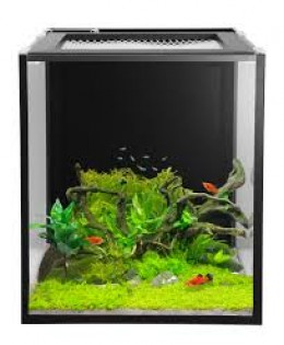 Nuvo Fusion 10 - aquarium + pump, filtration (38 L)